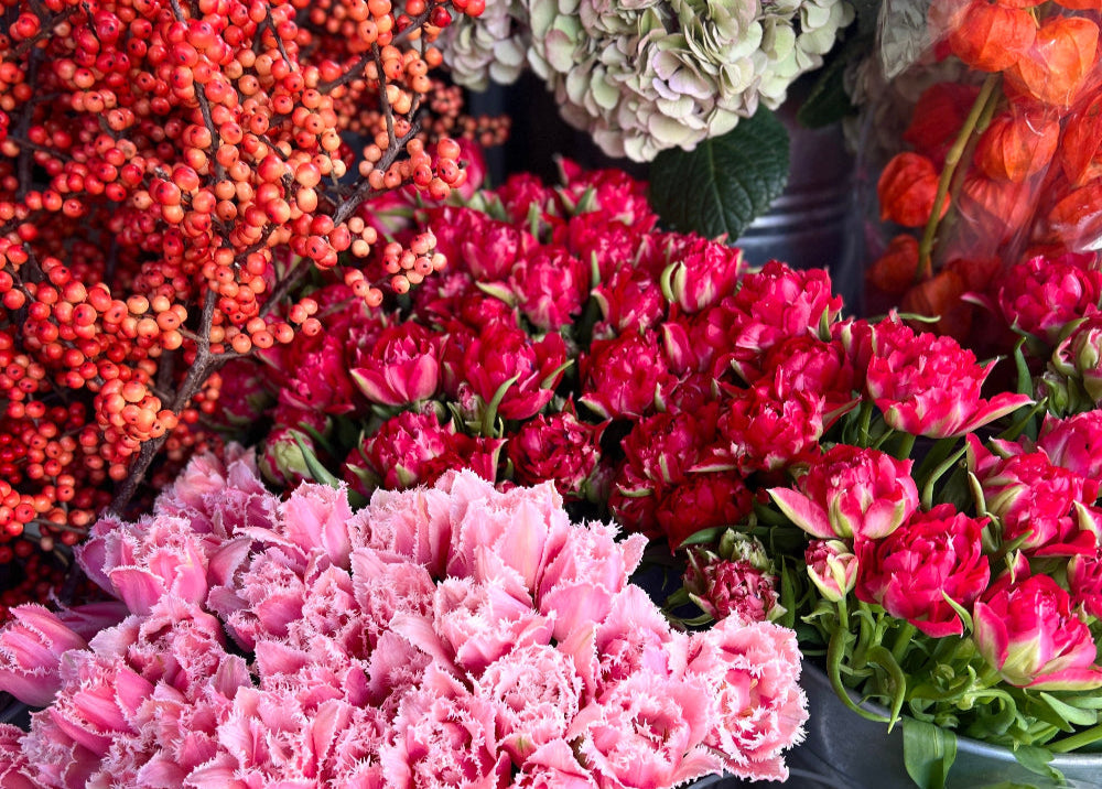 The Language of Flowers: What Your Favourite Blooms Say About You