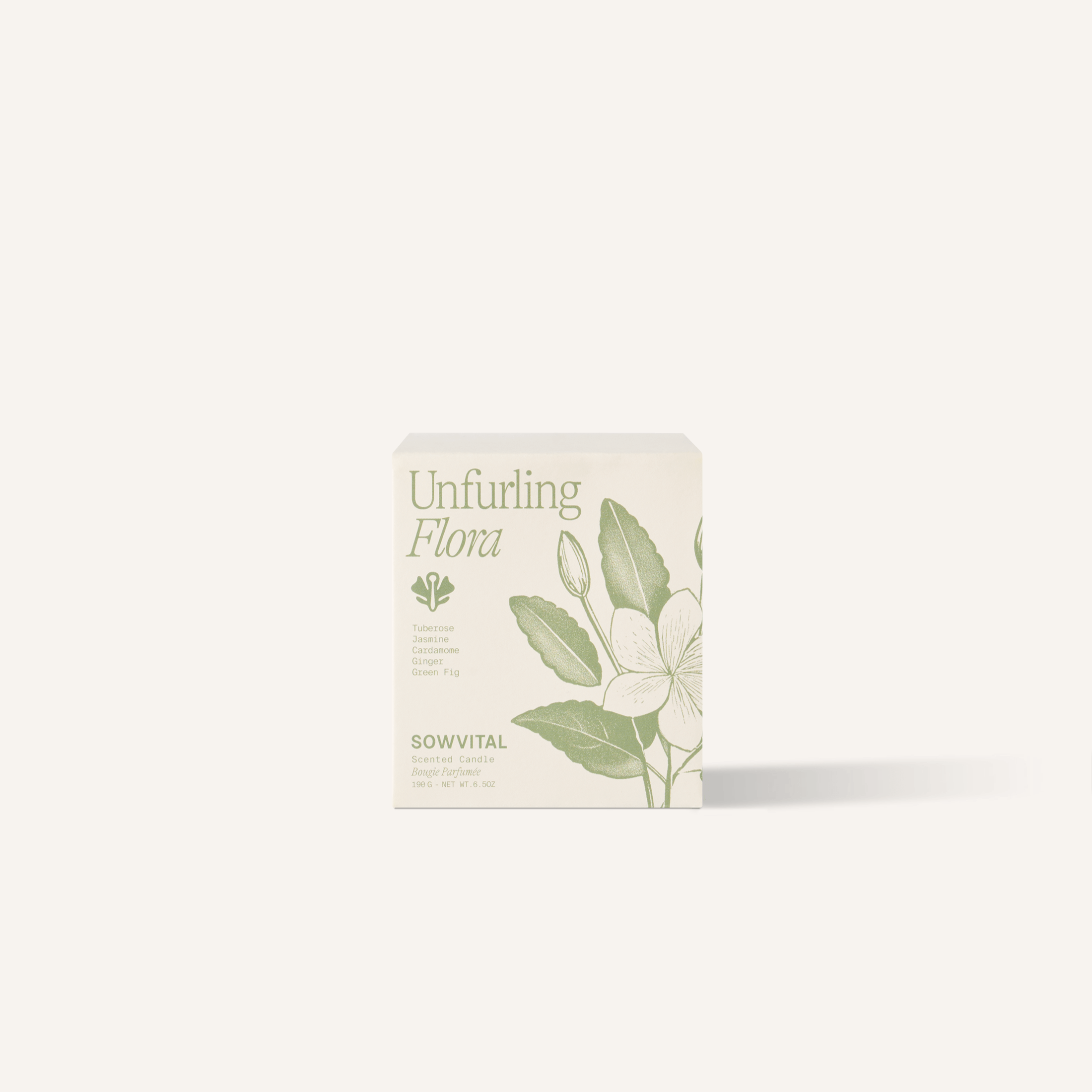 Scented Candle, Unfurling Flora - Petals at Bibendum