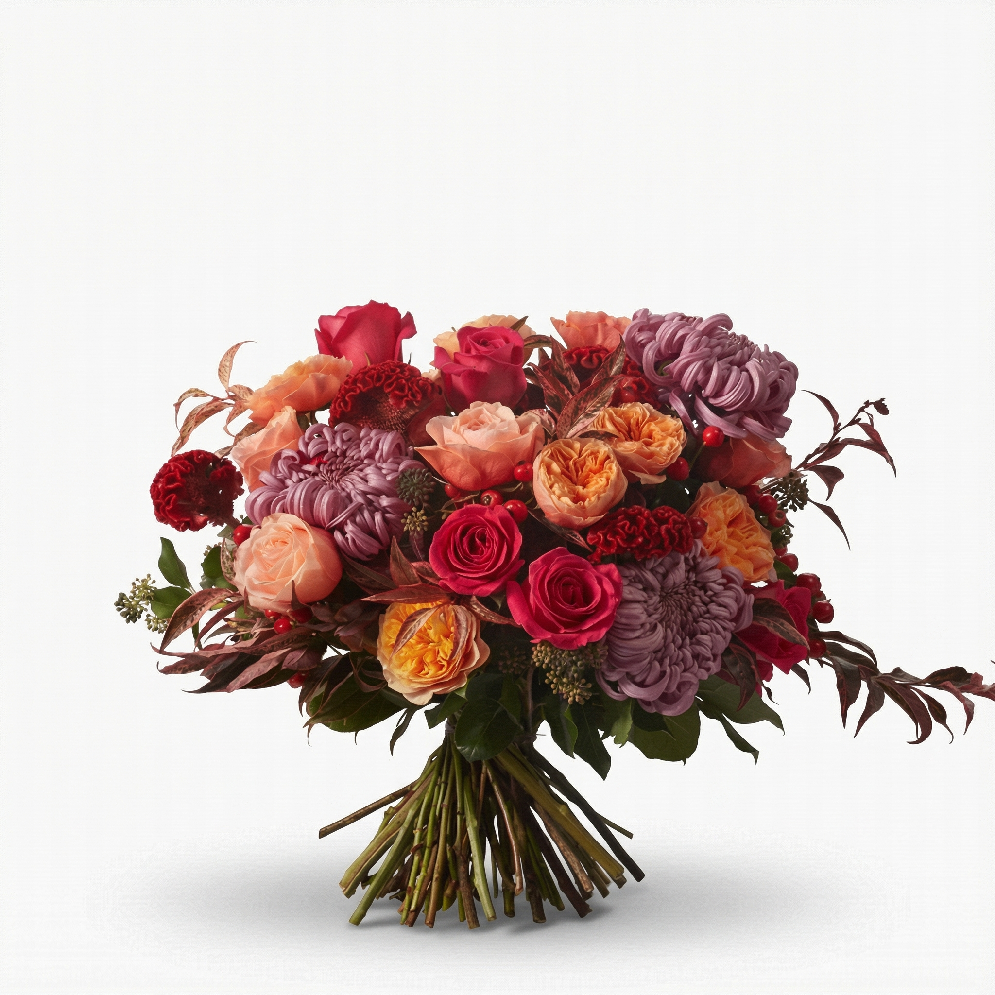 Colourful Collection