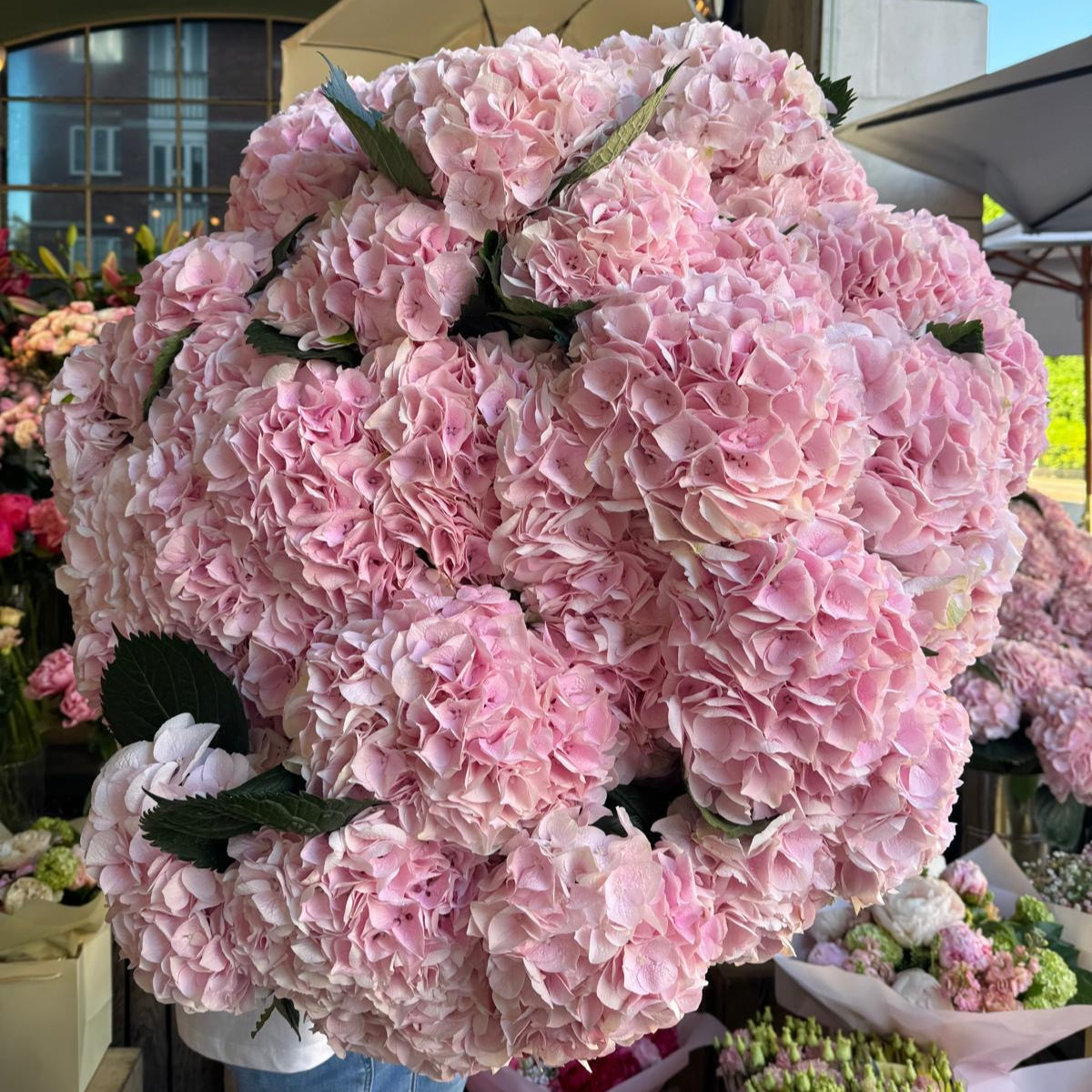 Pink Hydrangea - Petals at Bibendum