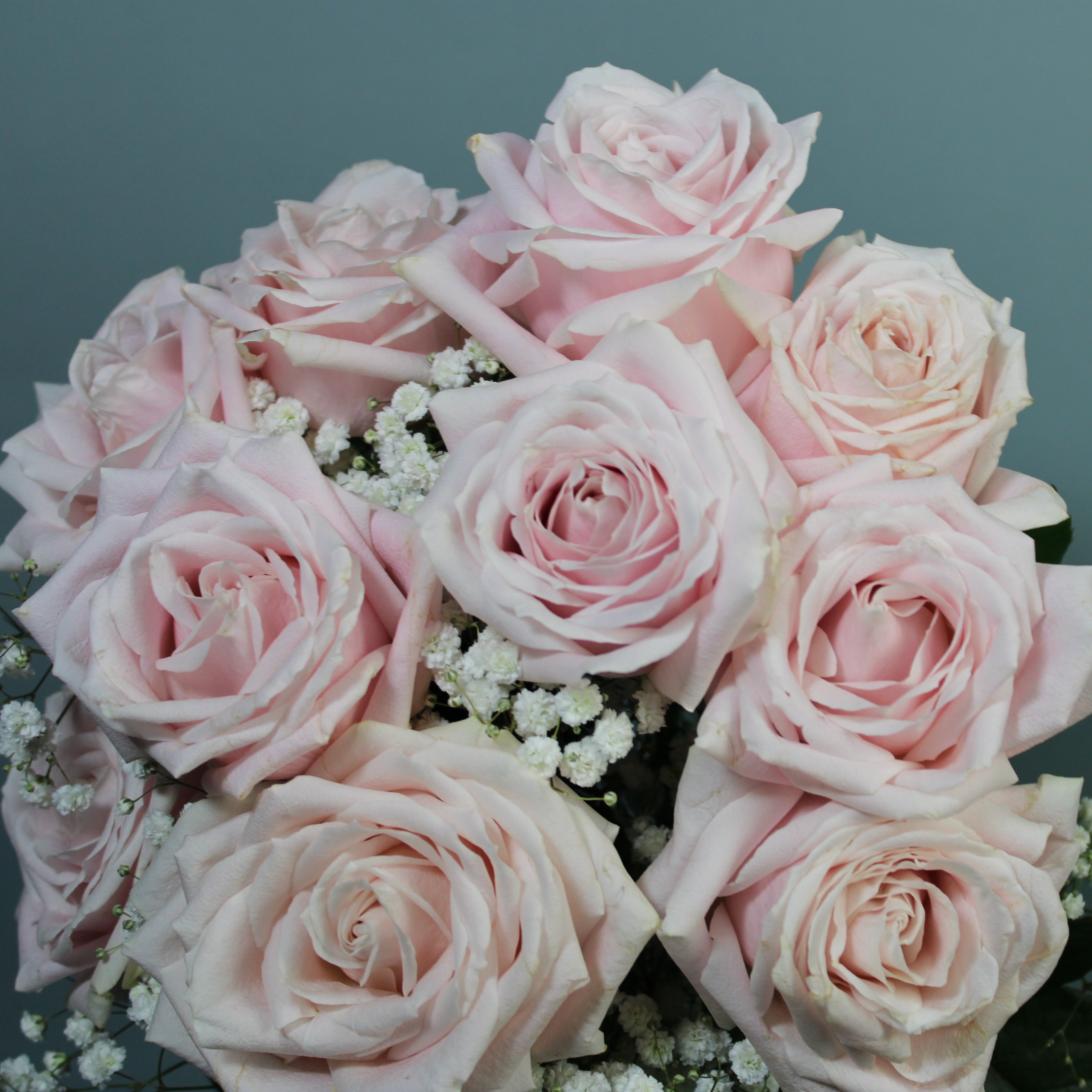 Pink Rose Delight - Petals at Bibendum