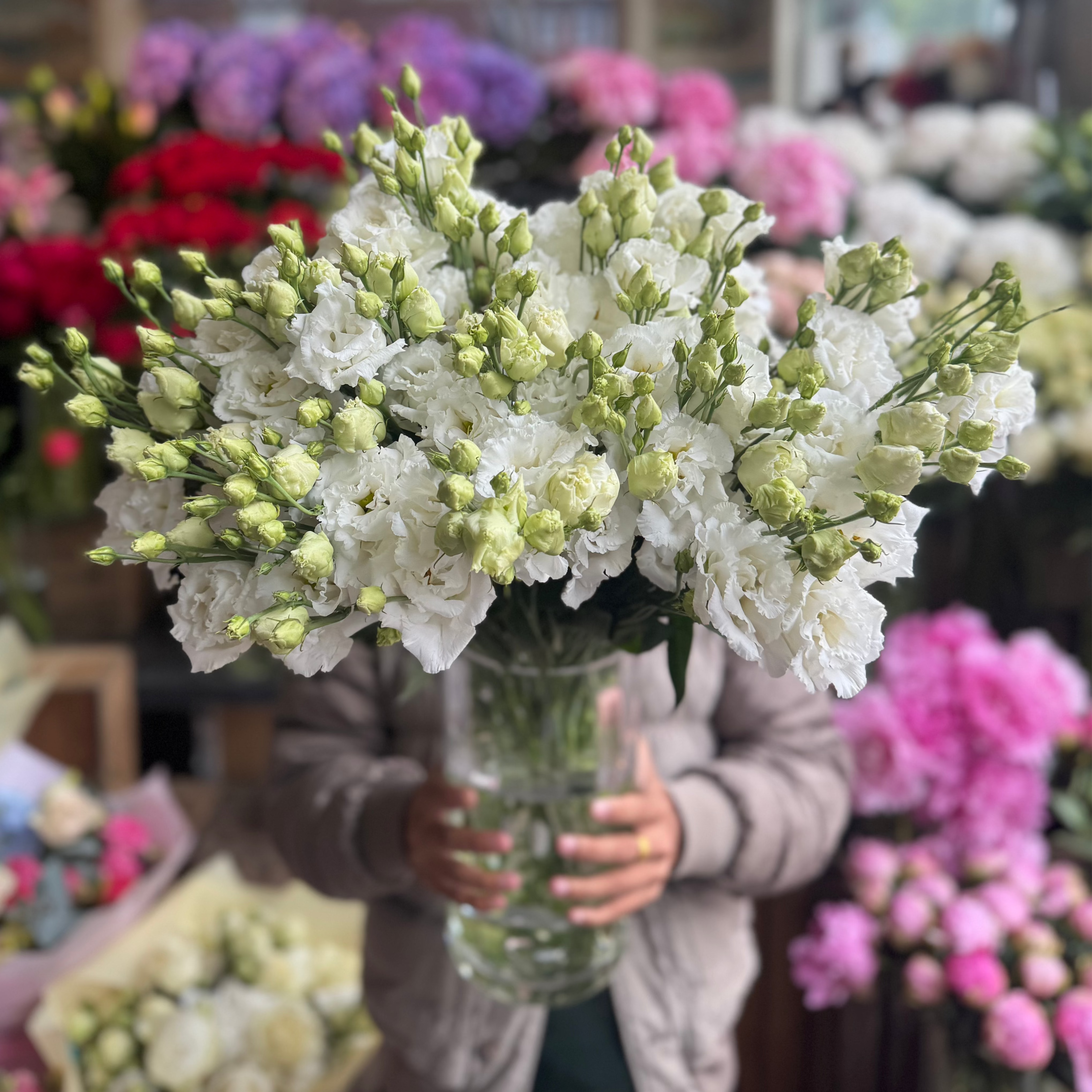 White XL Lisianthus