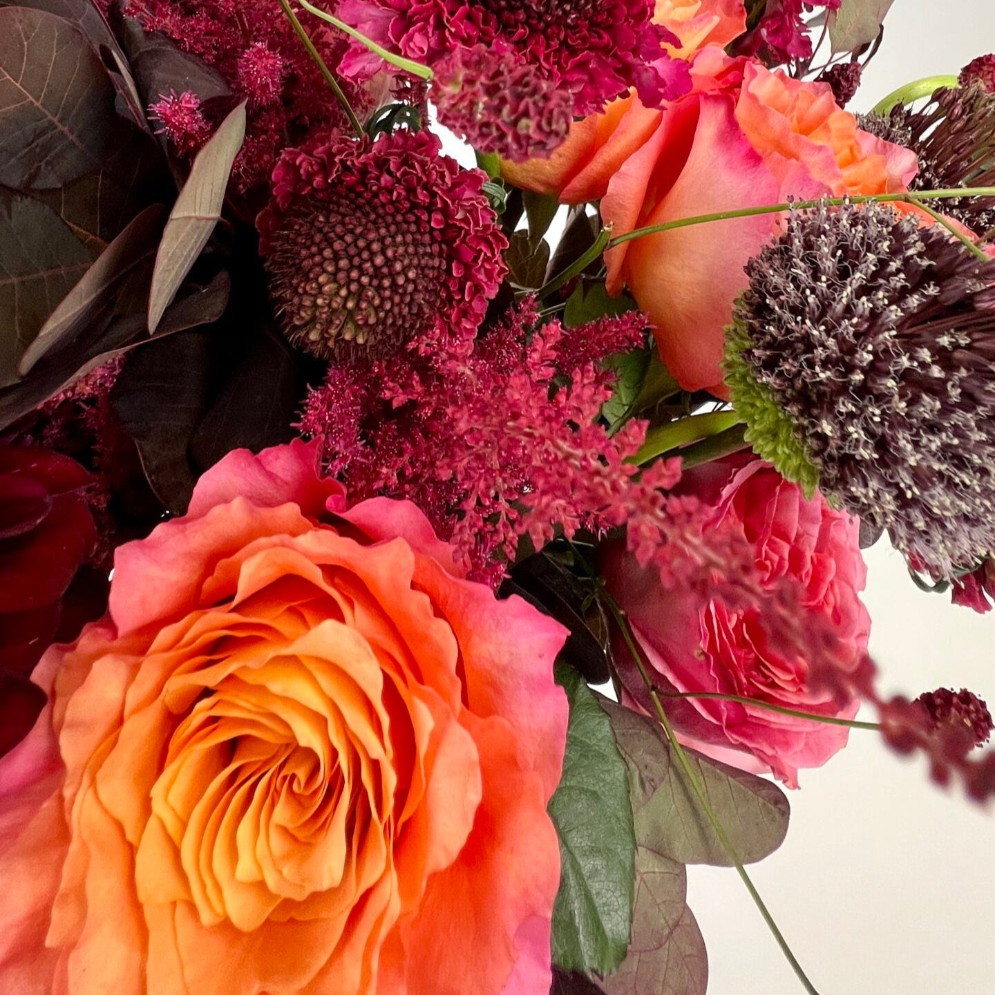 Winter Collection - Petals at Bibendum