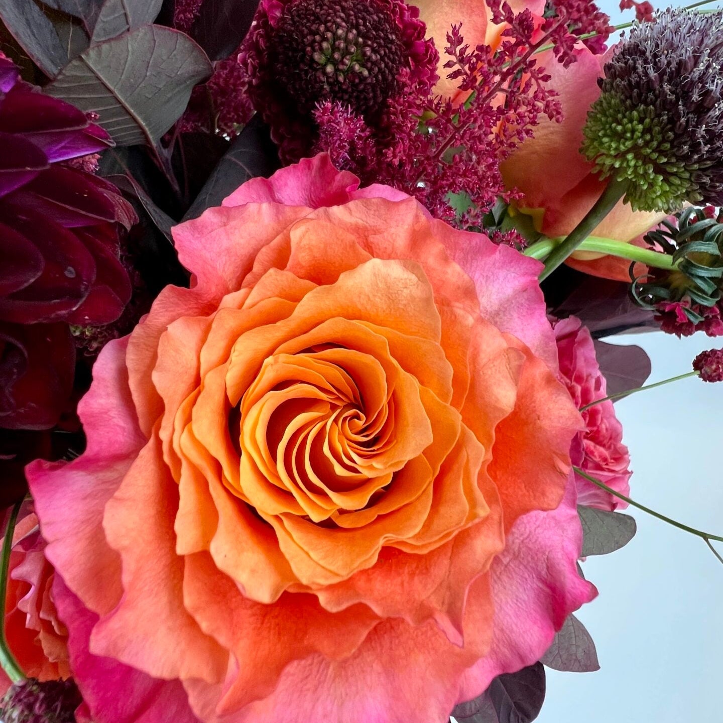 Winter Collection - Petals at Bibendum