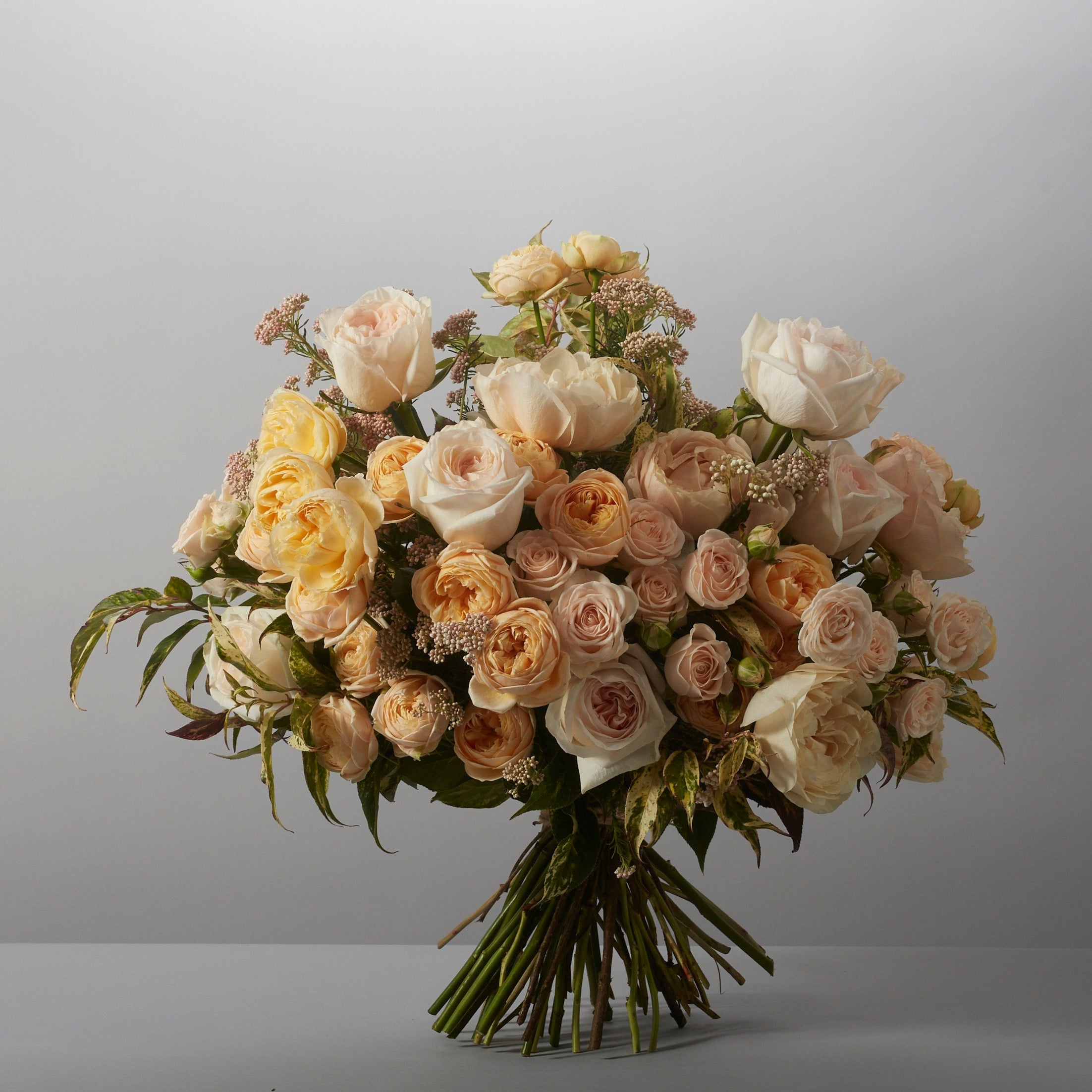 Nude Collection - Petals at Bibendum