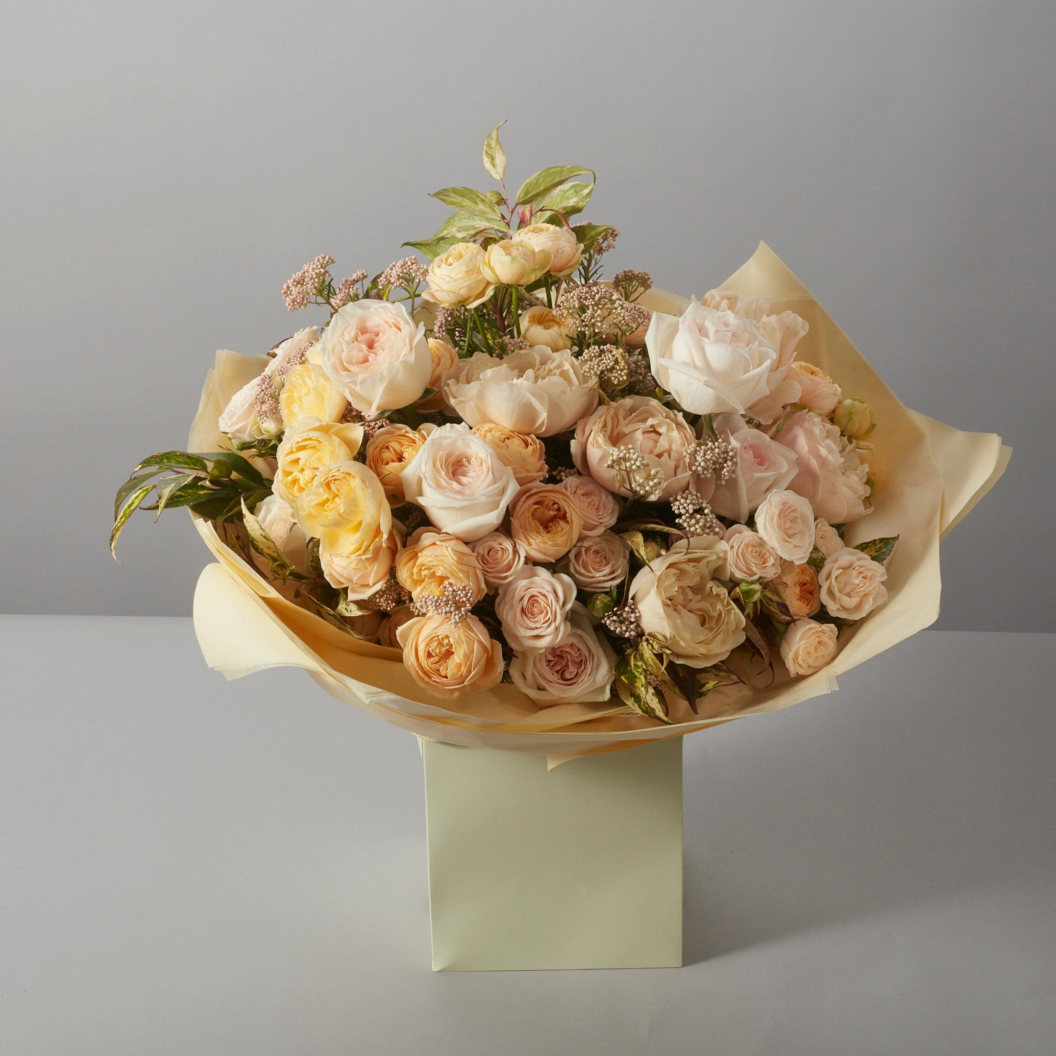 Nude Collection - Petals at Bibendum