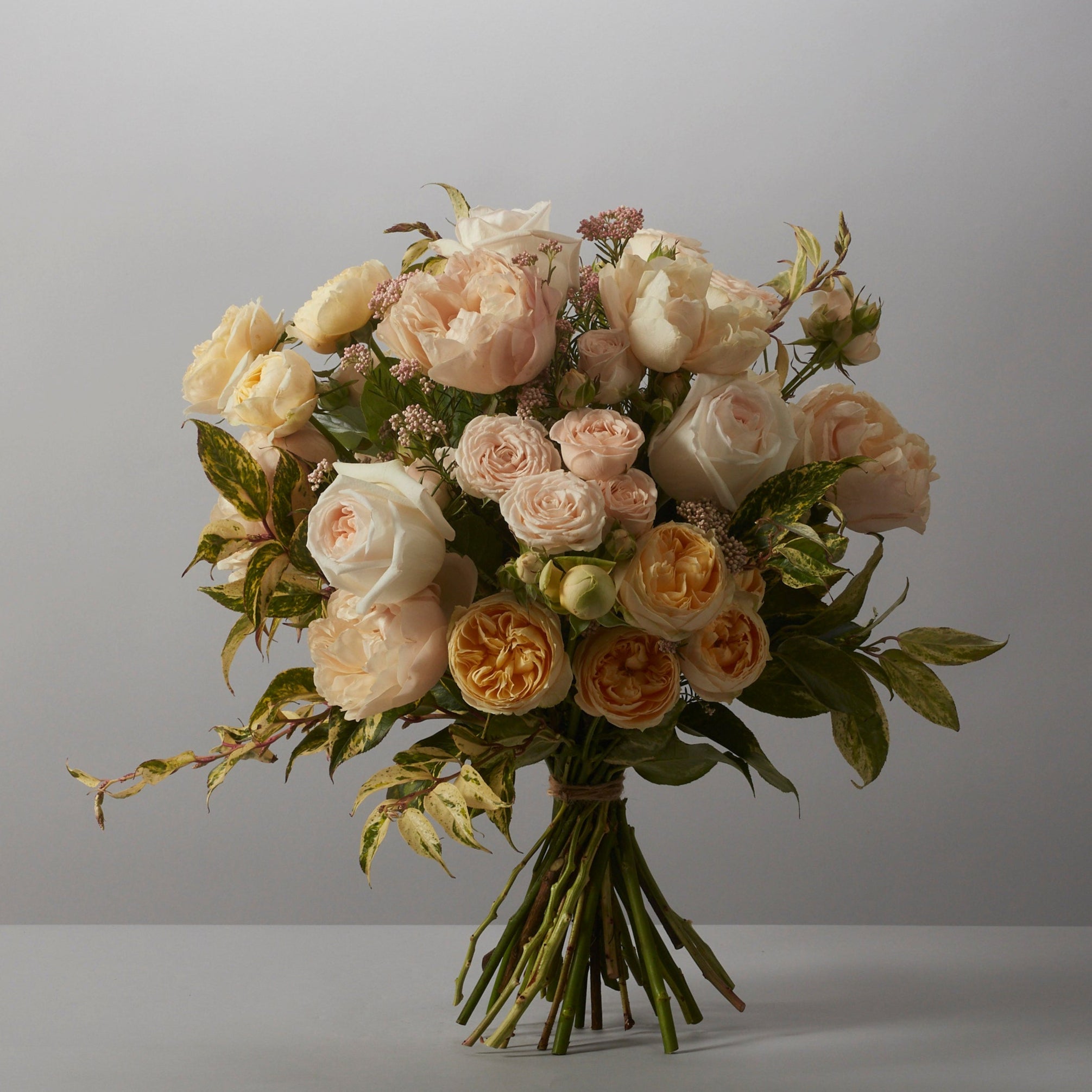 Nude Collection - Petals at Bibendum