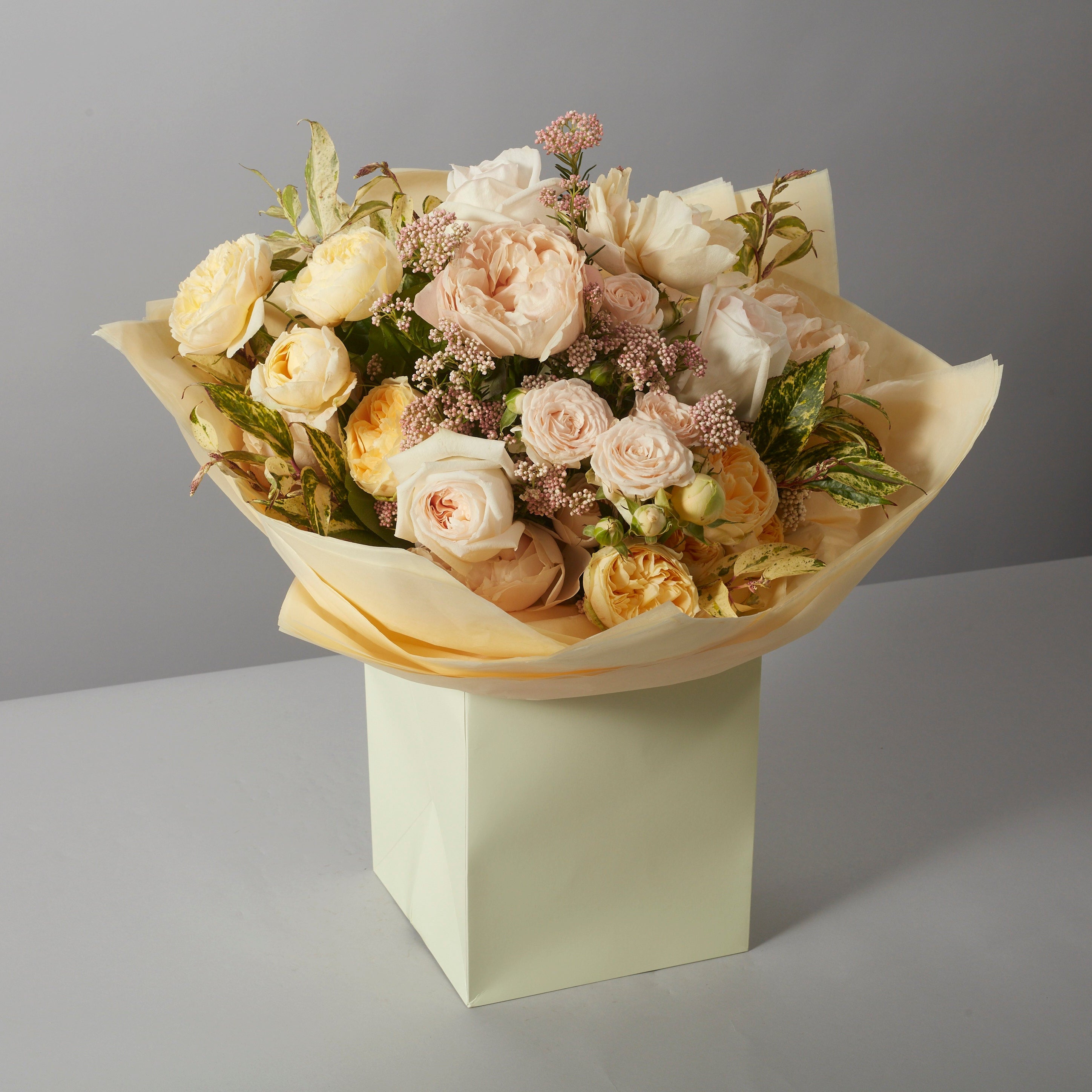 Nude Collection - Petals at Bibendum