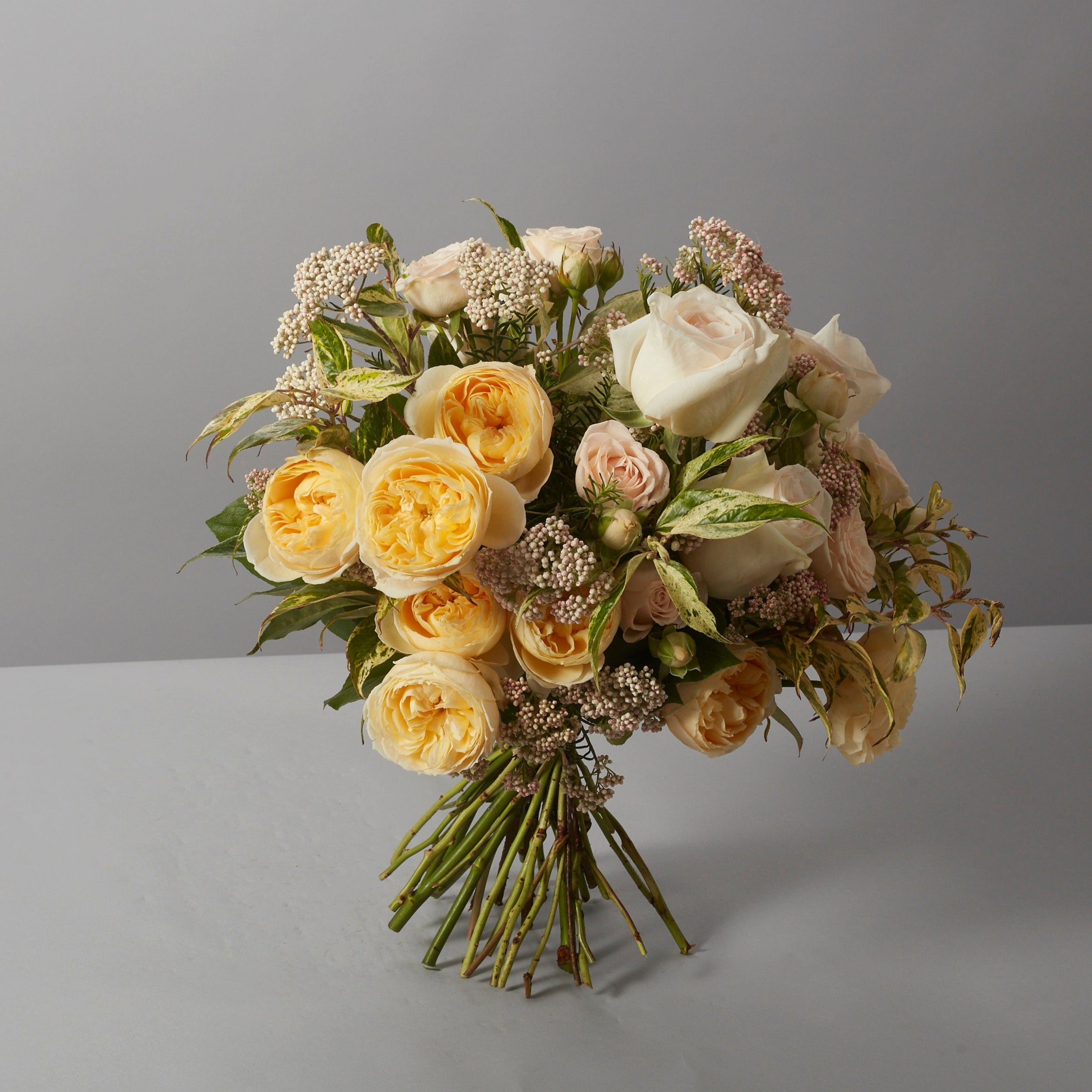 Nude Collection - Petals at Bibendum