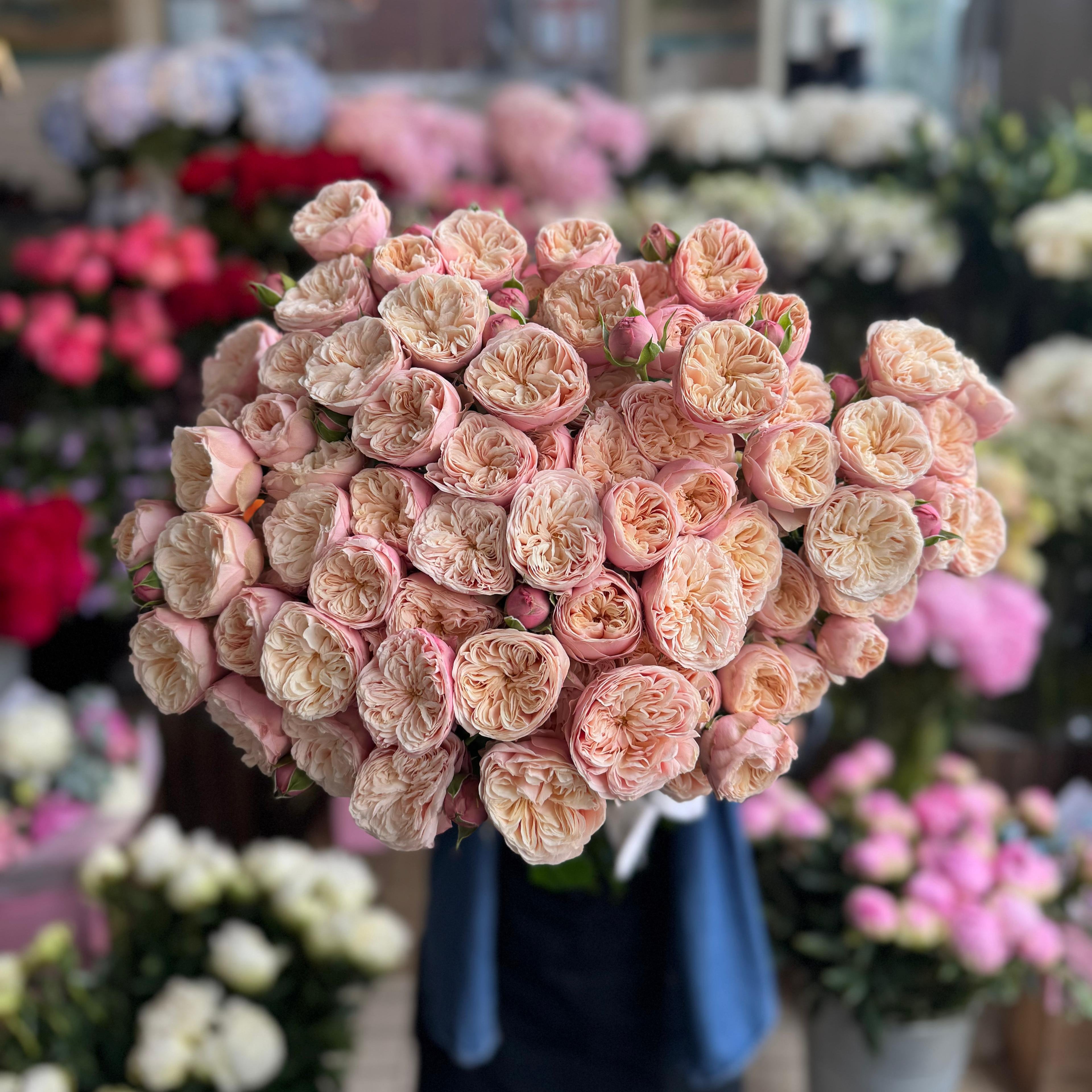 Royal Blush VIP spray rose