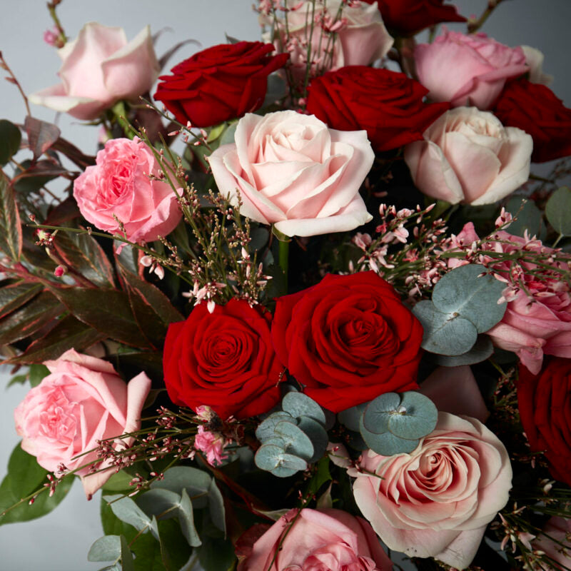 Symphony of Roses - Petals at Bibendum