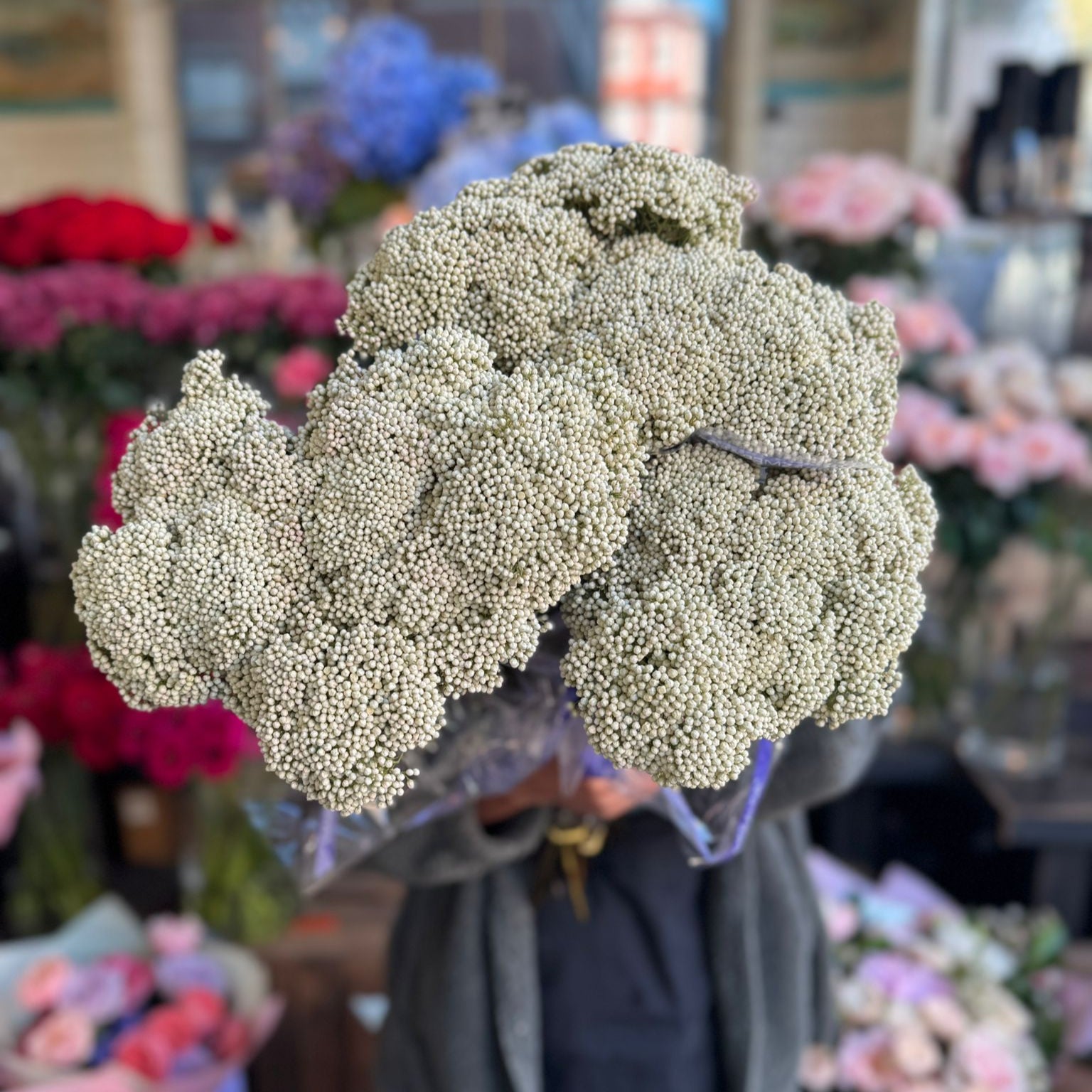 White Rice Flower