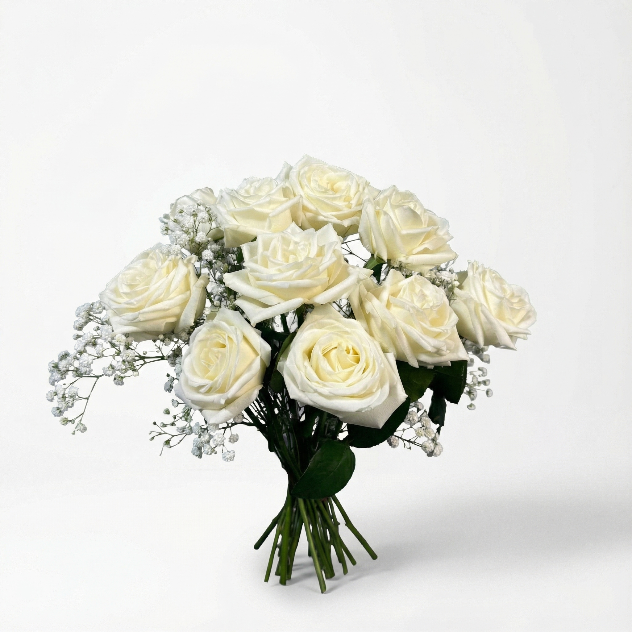 White Rose Tranquility