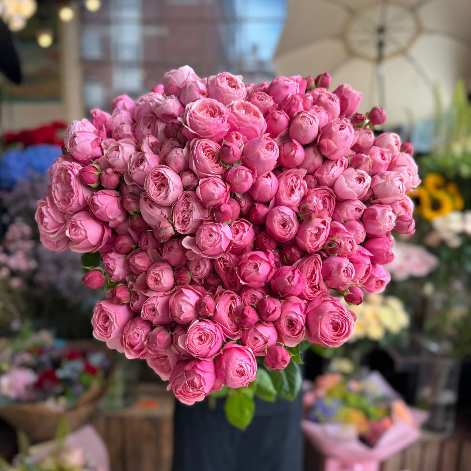 Silva Pink Spray Rose