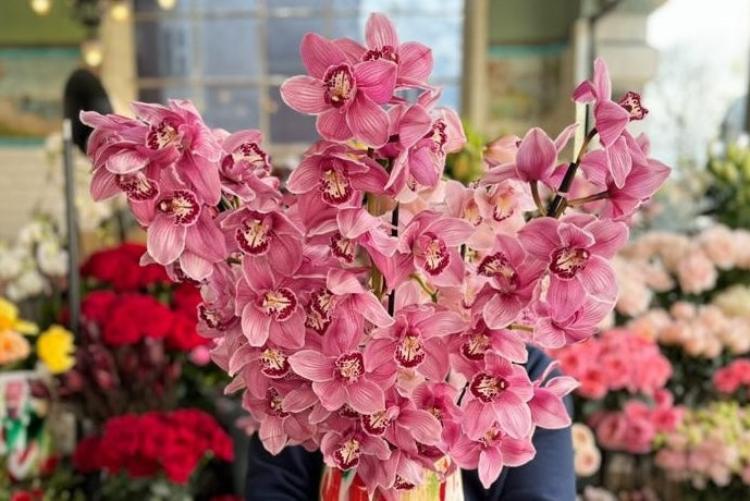 Why Orchids Make Memorable Gifts