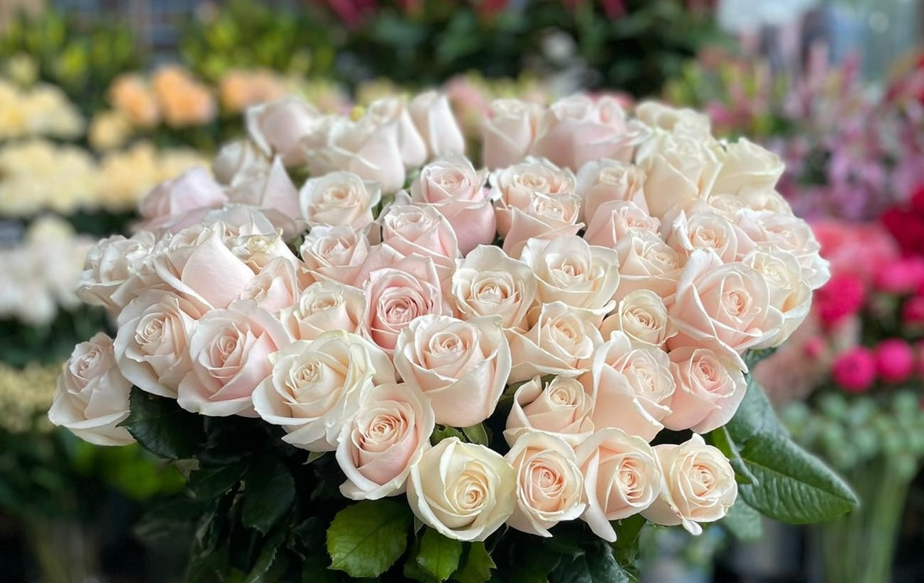 Why White Roses are Perfect Floral Gestures for Expressing Condolences?