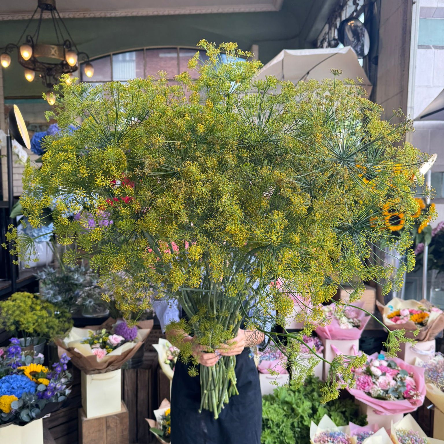 Dill Flower Yellow