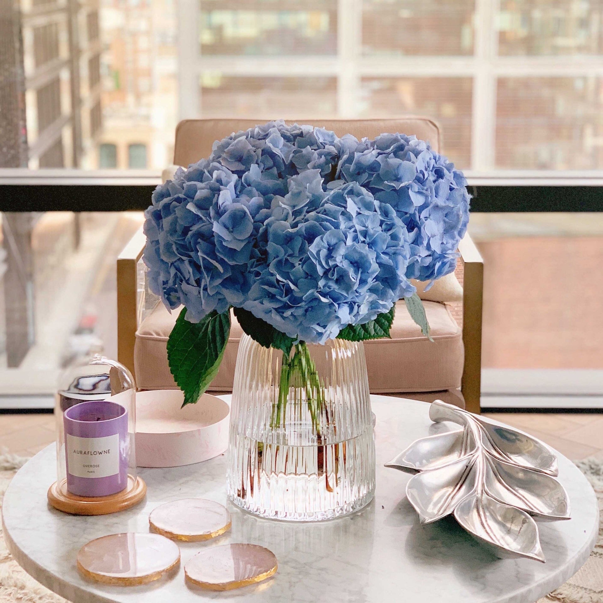 Pale Blue Hydrangea - Petals at Bibendum