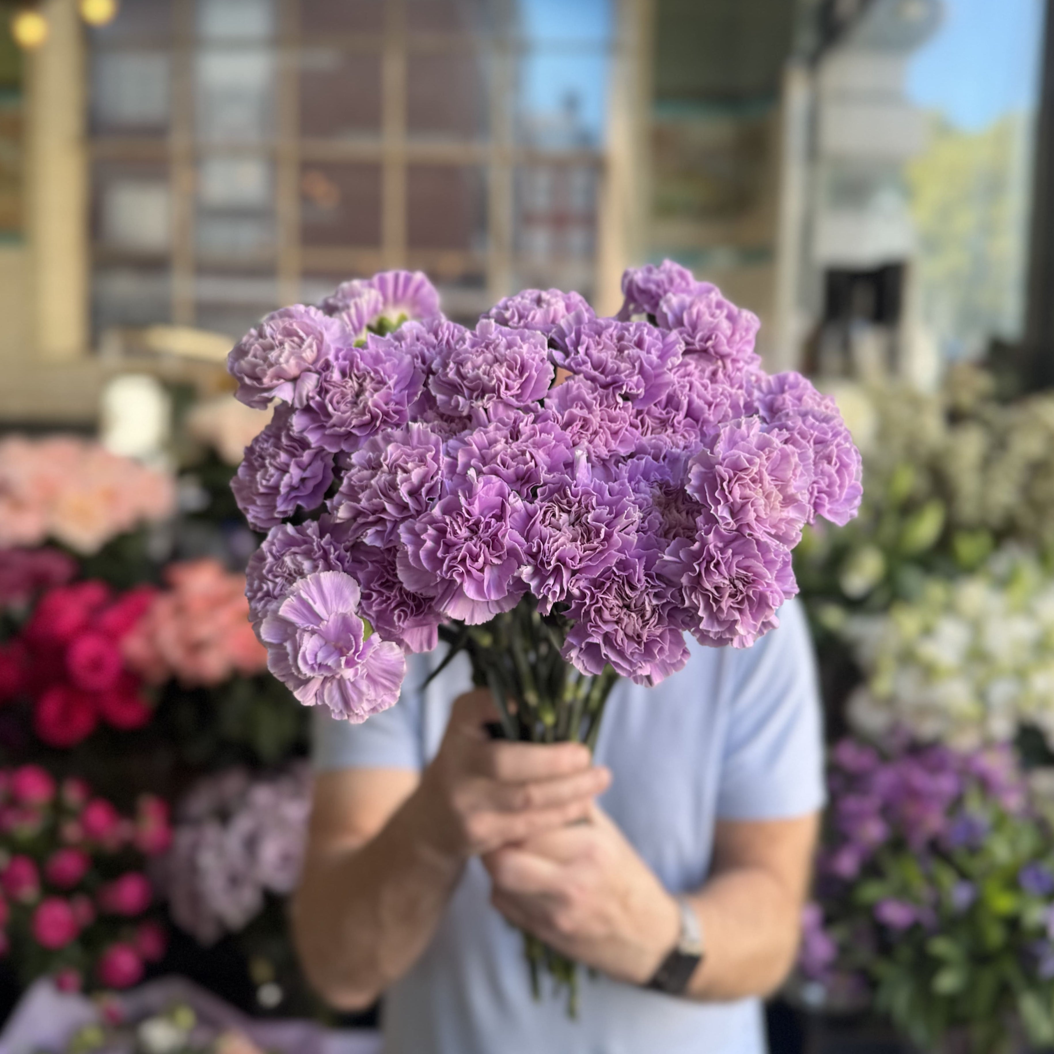 Lilac Carnations