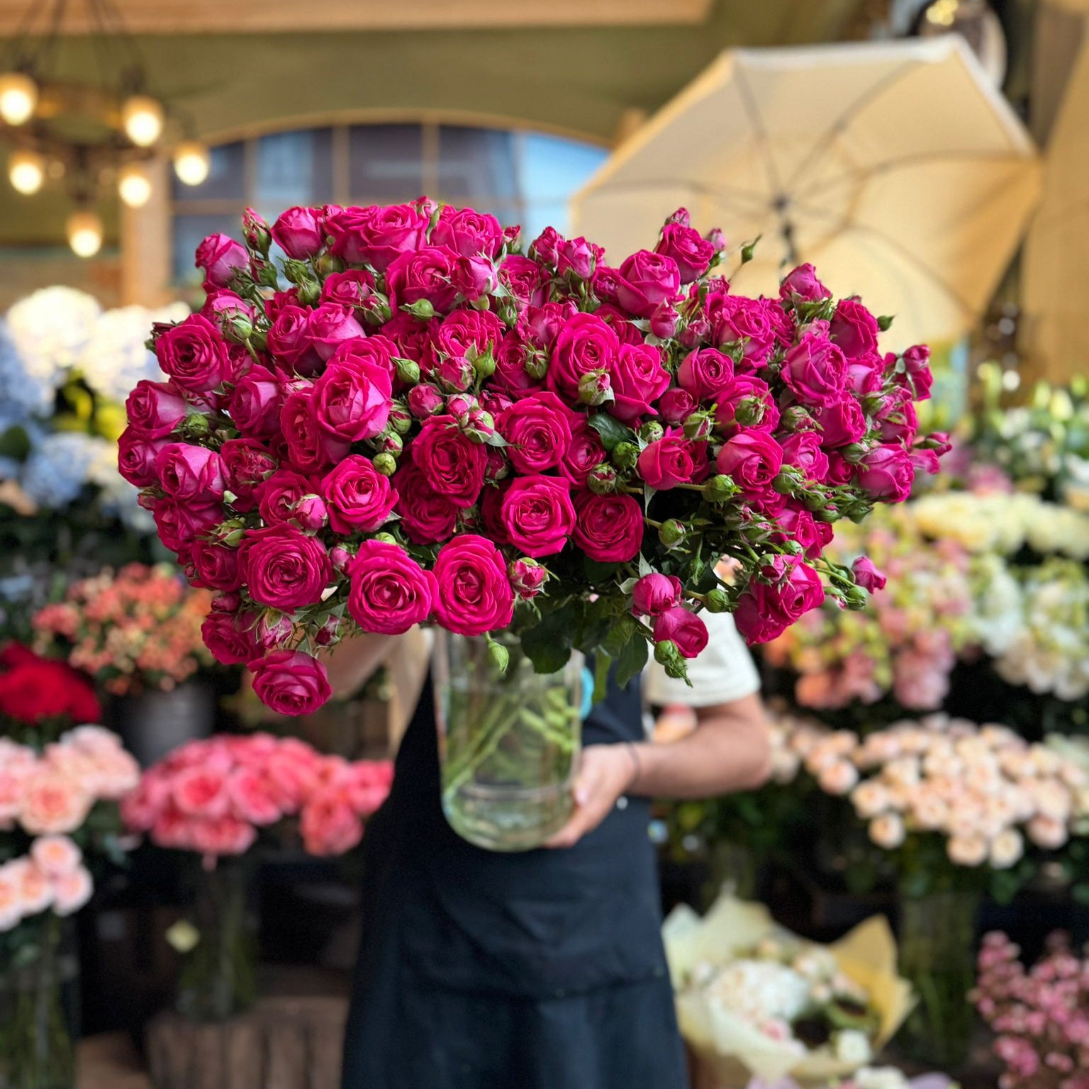 Judy Spray Rose