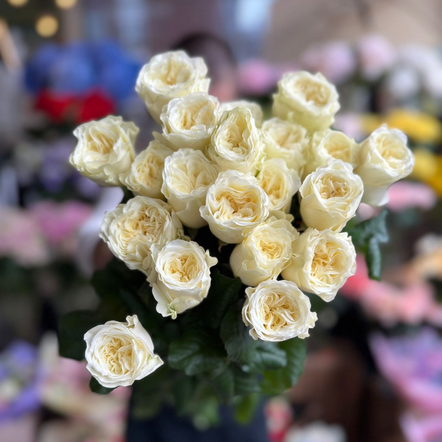 Paradise White VIP Rose