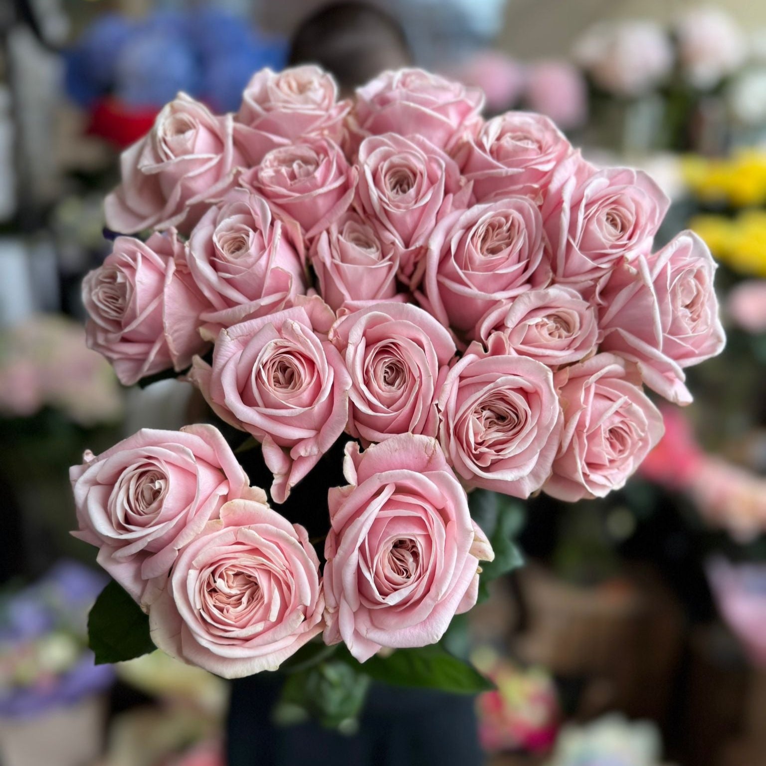Rebellian Pink VIP Rose