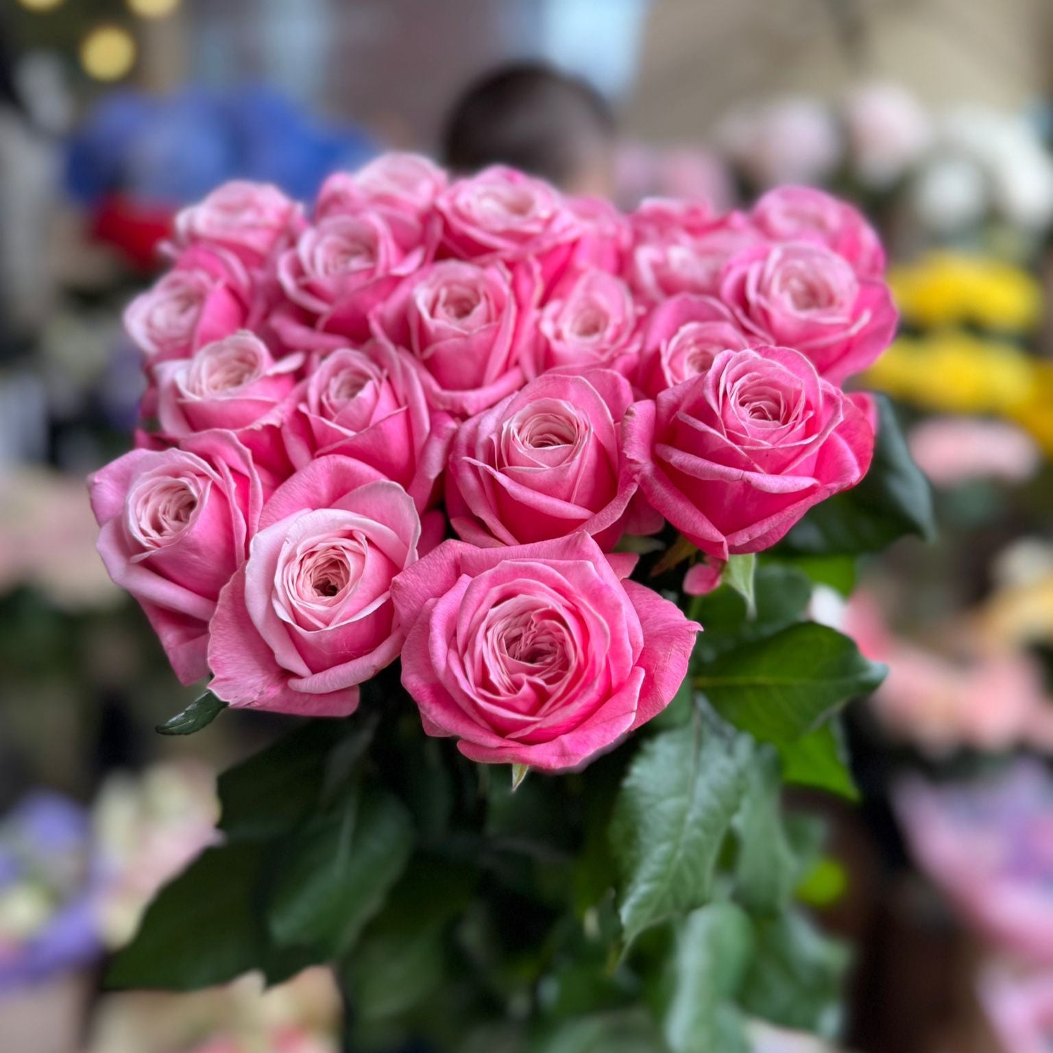 Rehab VIP Rose