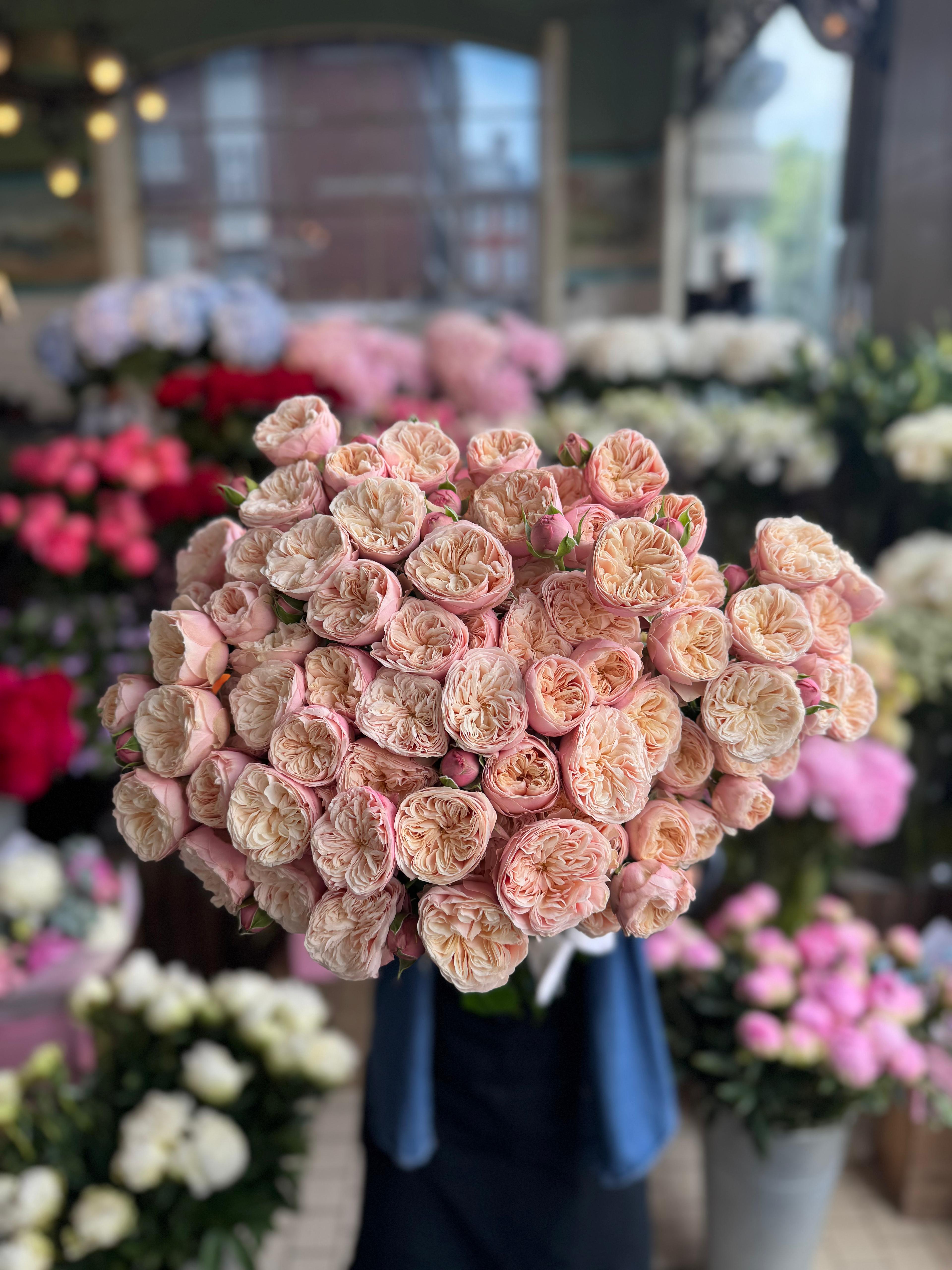 Royal Blush VIP spray rose