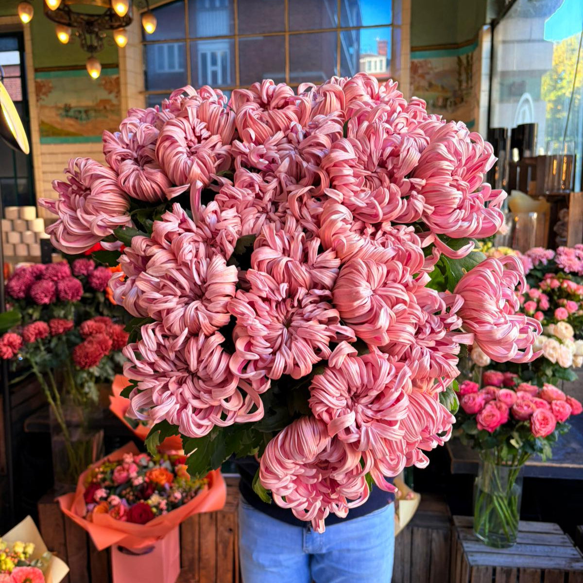 Vienna Pink
